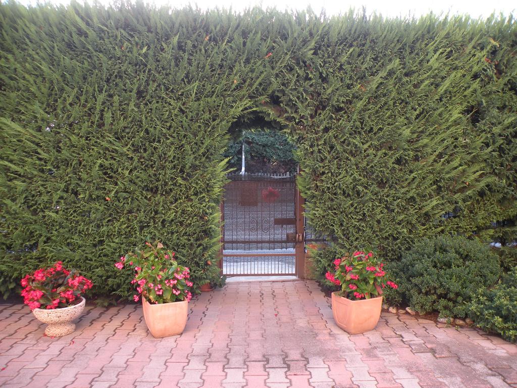 Casa Oriana Villa Rosolina Bagian luar foto